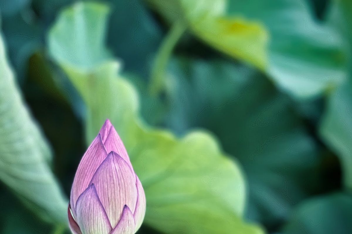 ù-trouver-éguisement-pour-carnaval- Où trouver un déguisement pour carnaval ?